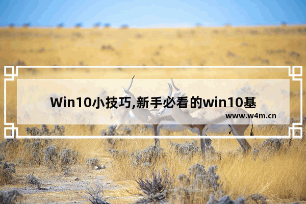 Win10小技巧,新手必看的win10基本操作技巧