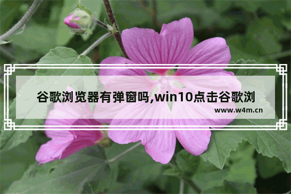 谷歌浏览器有弹窗吗,win10点击谷歌浏览器没反应