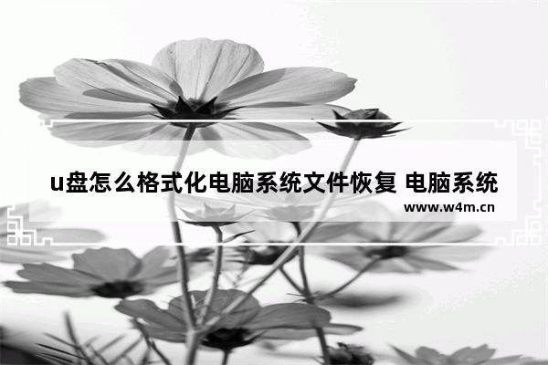 u盘怎么格式化电脑系统文件恢复 电脑系统文件恢复教程：U盘格式化方法