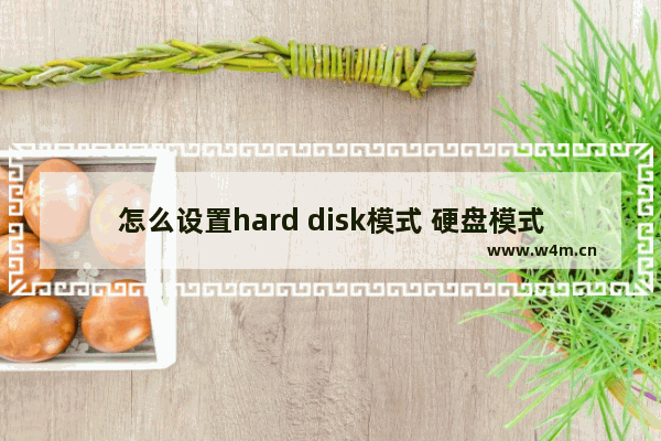 怎么设置hard disk模式 硬盘模式设置方法