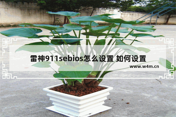 雷神911sebios怎么设置 如何设置雷神911sebios？