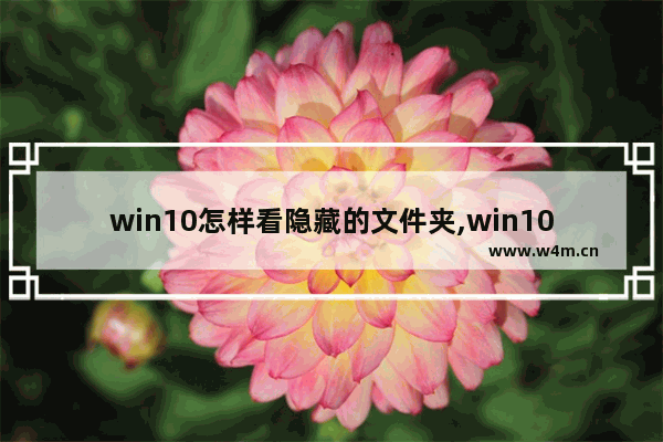 win10怎样看隐藏的文件夹,win10怎么看到隐藏文件夹