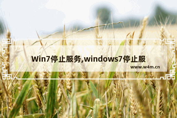 Win7停止服务,windows7停止服务会怎么样