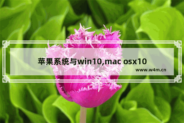 苹果系统与win10,mac osx10.11