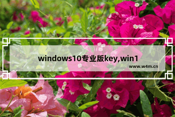 windows10专业版key,win10密钥key