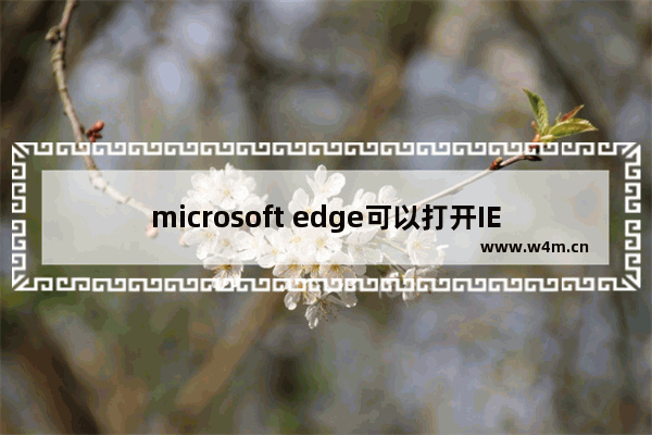 microsoft edge可以打开IE,如何用microsoft edge打开ie