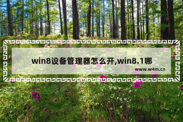 win8设备管理器怎么开,win8.1哪些服务可以禁用