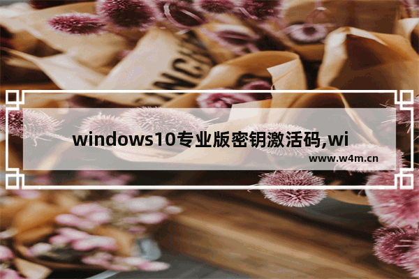 windows10专业版密钥激活码,windows10永久激活码 win10专业版密钥_1