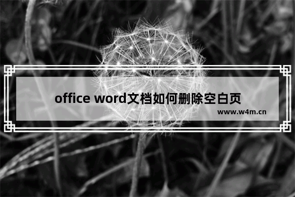 office word文档如何删除空白页,office2016word怎么删除空白页