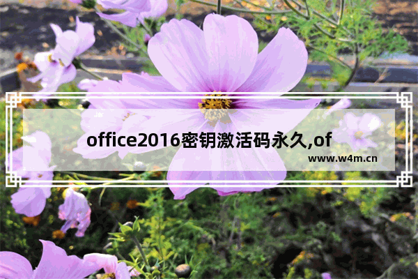 office2016密钥激活码永久,office2017永久激活密钥