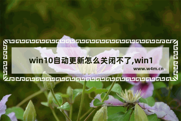 win10自动更新怎么关闭不了,win10自动更新怎么关闭 系统迷