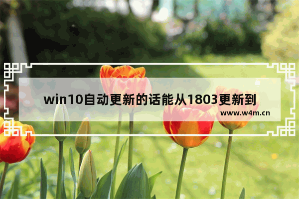 win10自动更新的话能从1803更新到1809吗-,win101709升级1809