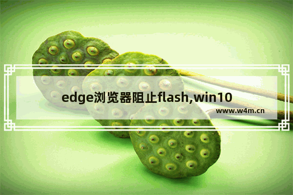 edge浏览器阻止flash,win10 edge flash