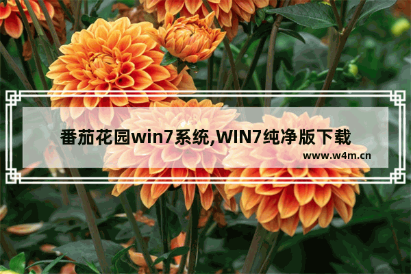 番茄花园win7系统,WIN7纯净版下载