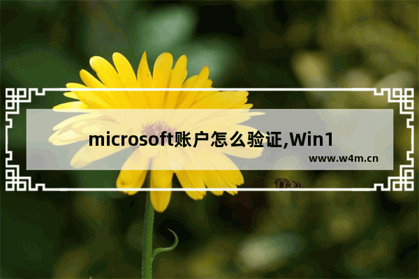 microsoft账户怎么验证,Win10关闭Microsoft账户验证