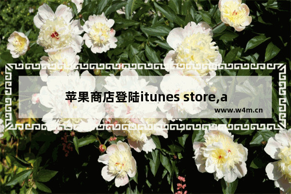 苹果商店登陆itunes store,apple store windows