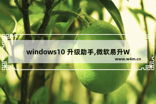 windows10 升级助手,微软易升Win10升级助手_2