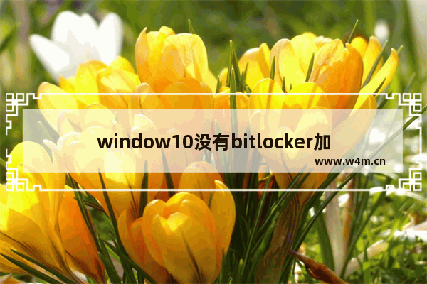 window10没有bitlocker加密,win10bitlocker正在加密