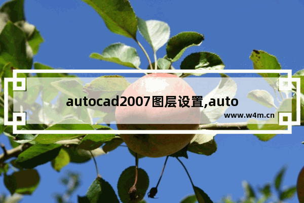 autocad2007图层设置,autocad2010图层设置