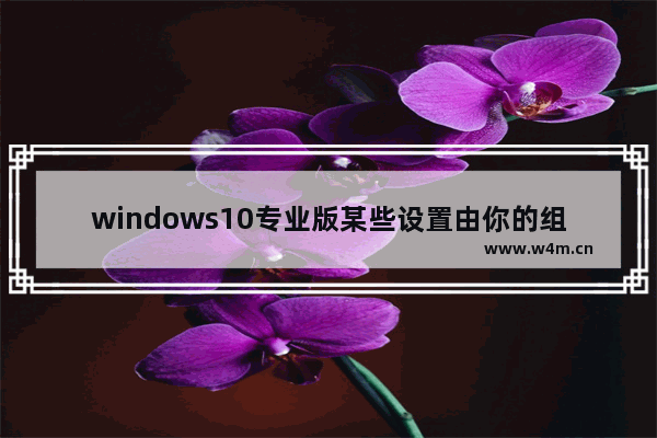 windows10专业版某些设置由你的组织来管理,win10的管理