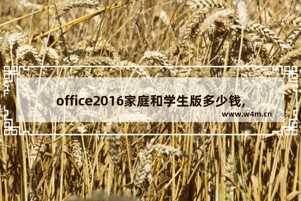 office2016家庭和学生版多少钱,office家庭和学生版2016和office2016