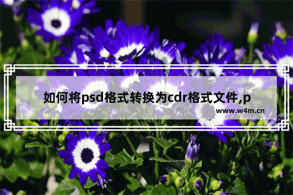 如何将psd格式转换为cdr格式文件,ps如何转换成cdr格式