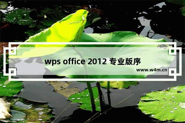 wps office 2012 专业版序列号,wps2016个人版激活码序列号