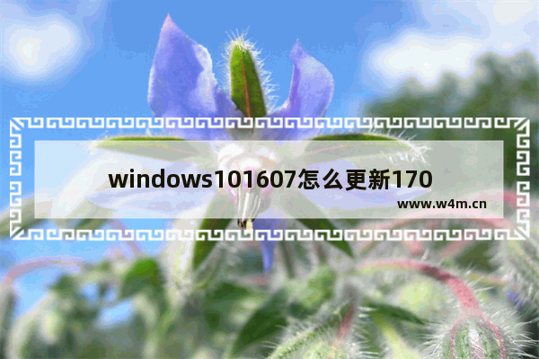 windows101607怎么更新1703,win10 1709更新