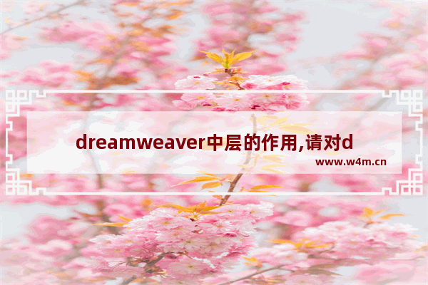 dreamweaver中层的作用,请对dreamweaver的基本界面模块做一个简单介绍