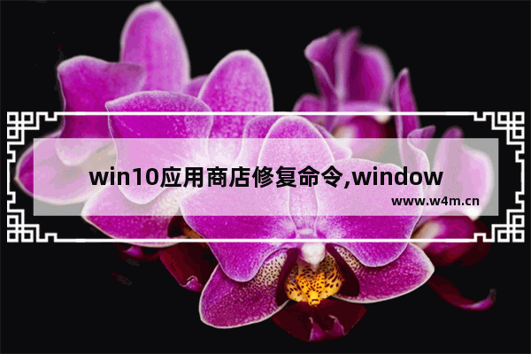 win10应用商店修复命令,windows10应用商店重试该操作