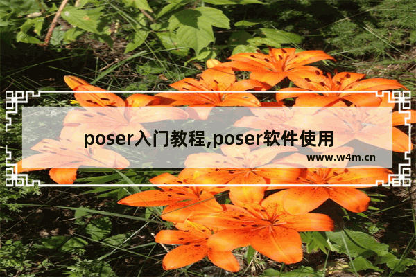 poser入门教程,poser软件使用