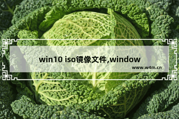 win10 iso镜像文件,windows制作iso镜像