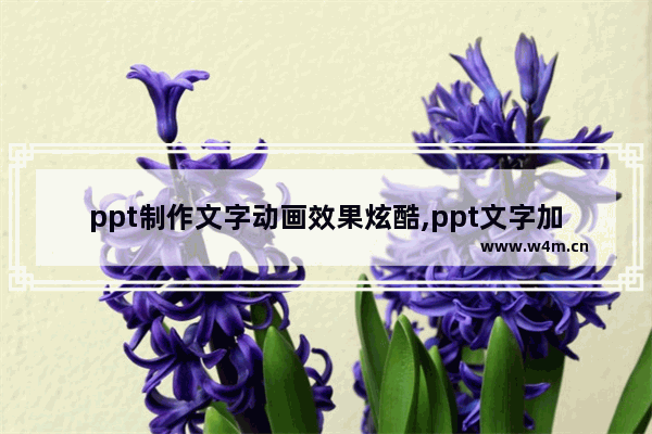 ppt制作文字动画效果炫酷,ppt文字加动画