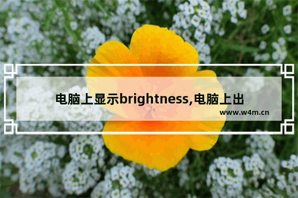 电脑上显示brightness,电脑上出现brightness什么意思