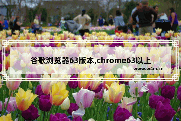 谷歌浏览器63版本,chrome63以上版本