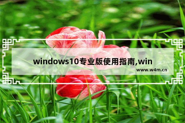 windows10专业版使用指南,windows10实用工具