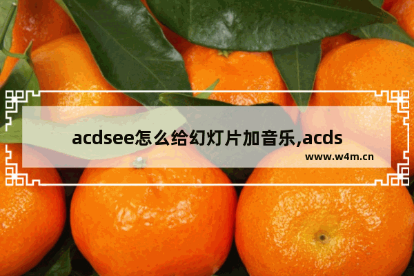 acdsee怎么给幻灯片加音乐,acdsee能浏览图片还可以制作幻灯片