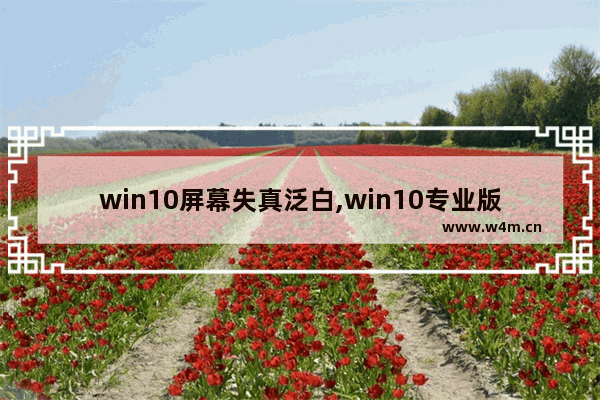 win10屏幕失真泛白,win10专业版画面模糊