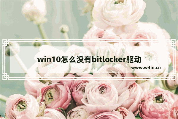 win10怎么没有bitlocker驱动器加密,win10bitlocker驱动器解锁在哪