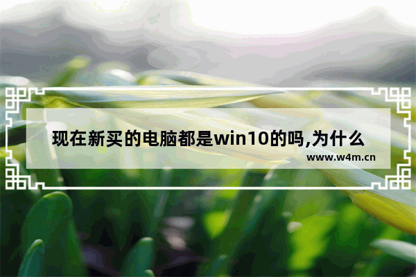 现在新买的电脑都是win10的吗,为什么新电脑只能装win10