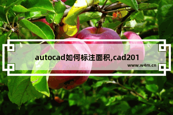 autocad如何标注面积,cad2010如何标注面积