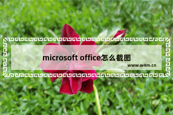 microsoft office怎么截图,office截图功能