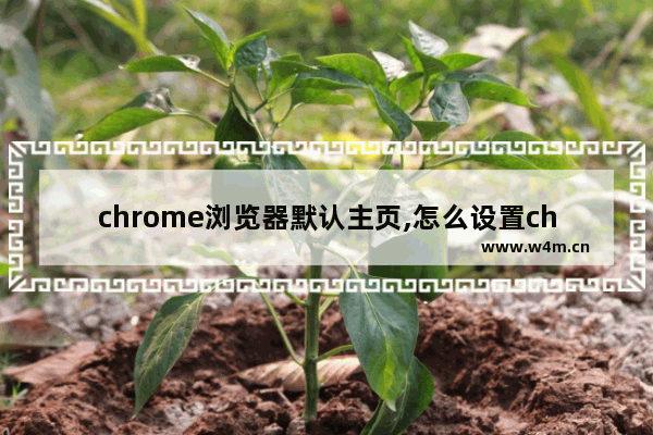 chrome浏览器默认主页,怎么设置chrome浏览器主页