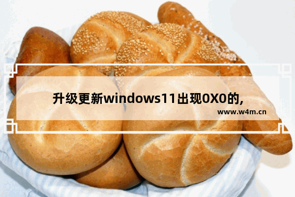 升级更新windows11出现0X0的,windows10错误代码0x0