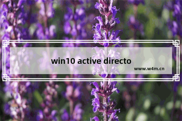 win10 active directory修复,Microsoft Active Directory