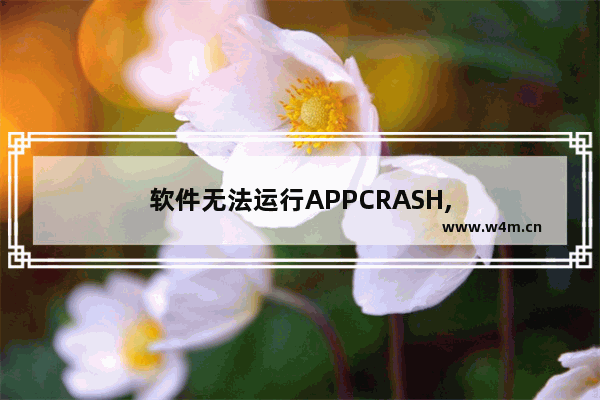 软件无法运行APPCRASH,