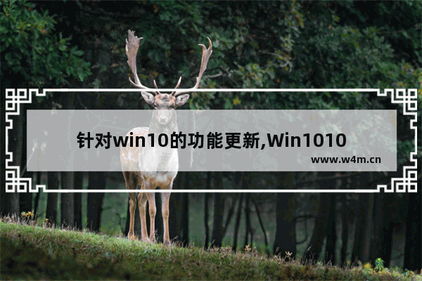 针对win10的功能更新,Win1010更新