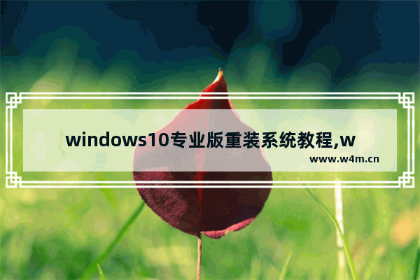 windows10专业版重装系统教程,win10专业版系统重装教程