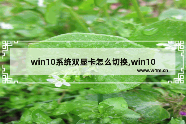 win10系统双显卡怎么切换,win10如何切换到独立显卡