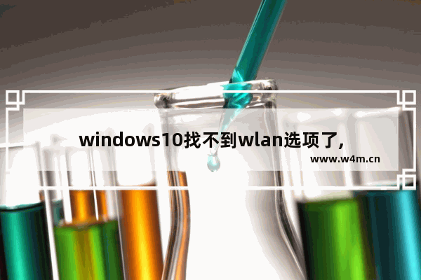 windows10找不到wlan选项了,win10网络设置中没有wlan选项是怎么回事-